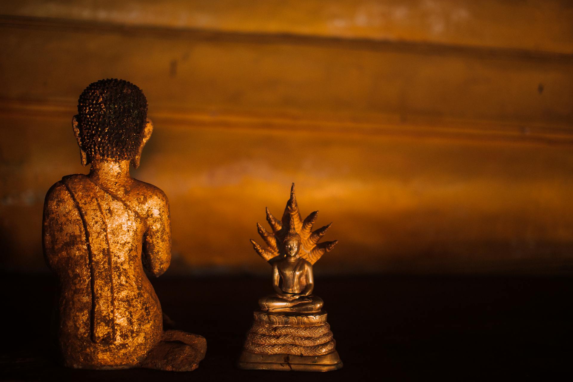 Astrologie védique, jyotish, astrologie indienne